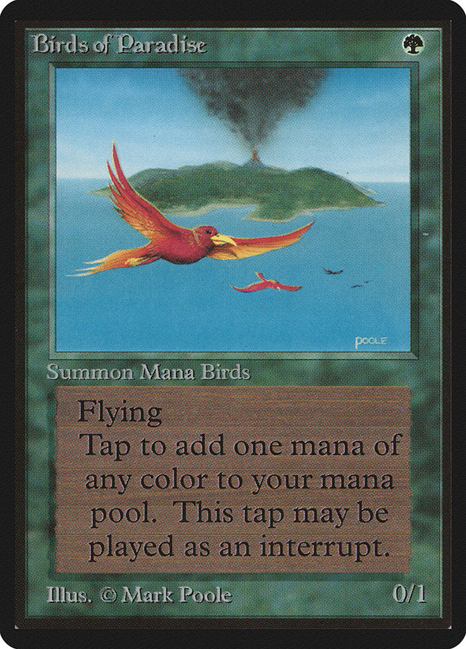 Birds of Paradise [Beta Edition] | Good Games Cannington