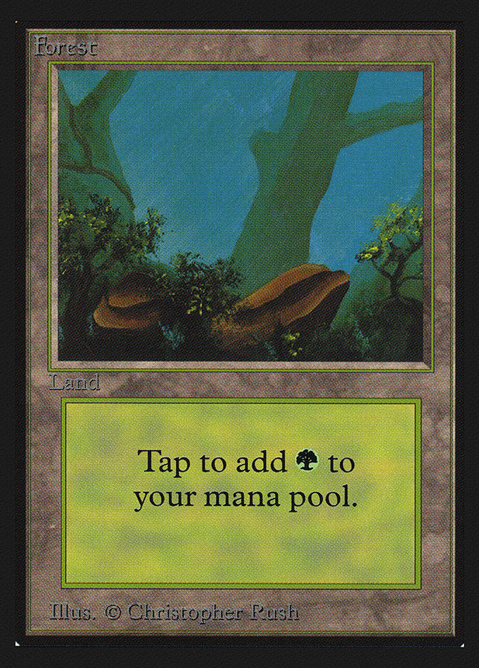 Forest (Two Stones) [International Collectors' Edition] | Good Games Cannington