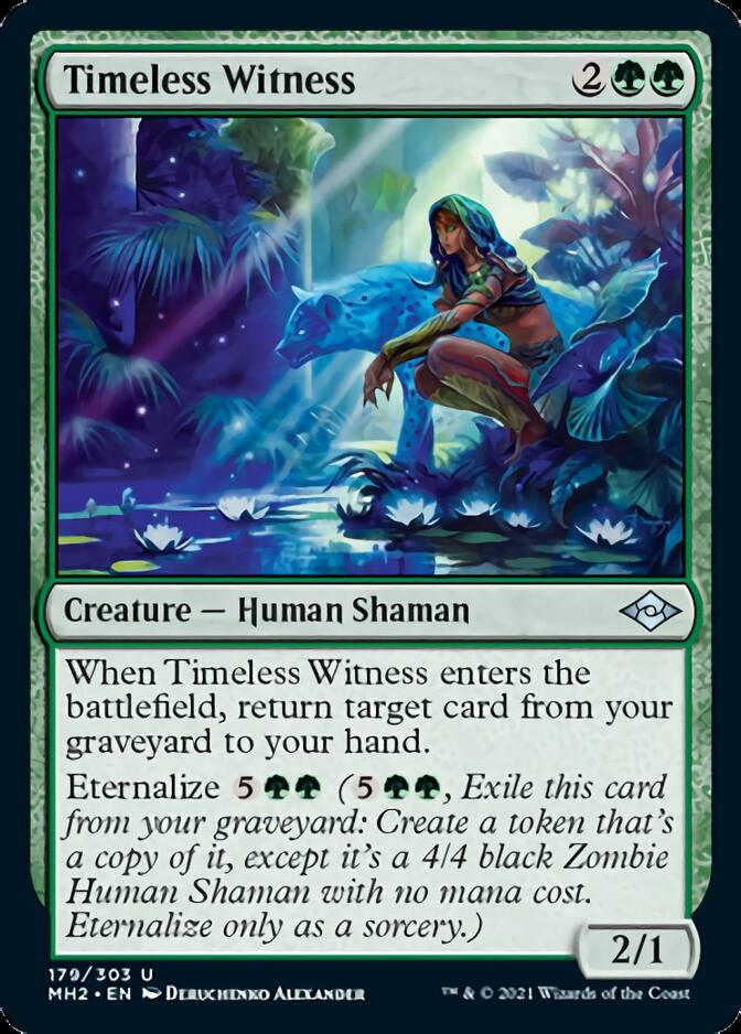Timeless Witness [Modern Horizons 2] | Good Games Cannington