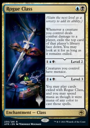 Rogue Class (Promo Pack) [Dungeons & Dragons: Adventures in the Forgotten Realms Promos] | Good Games Cannington