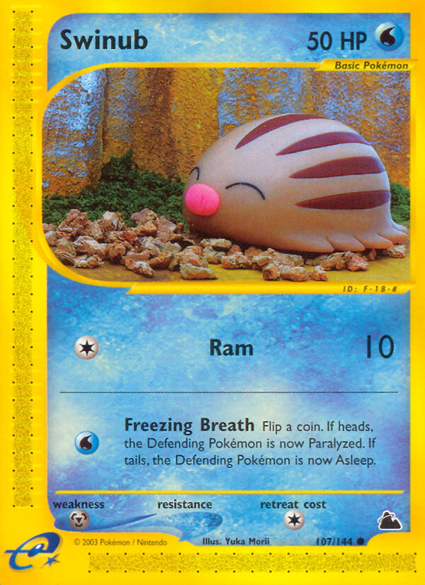 Swinub (107/144) [Skyridge] | Good Games Cannington