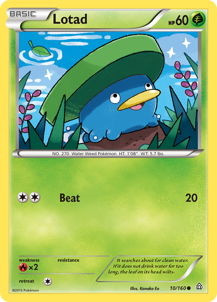 Lotad (10/160) [XY: Primal Clash] | Good Games Cannington