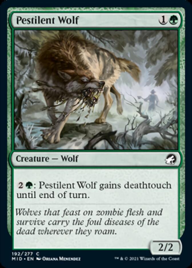 Pestilent Wolf [Innistrad: Midnight Hunt] | Good Games Cannington