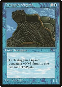 Giant Tortoise (Italian) - "Testuggine Gigante" [Renaissance] | Good Games Cannington
