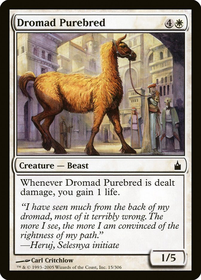 Dromad Purebred [Ravnica: City of Guilds] | Good Games Cannington