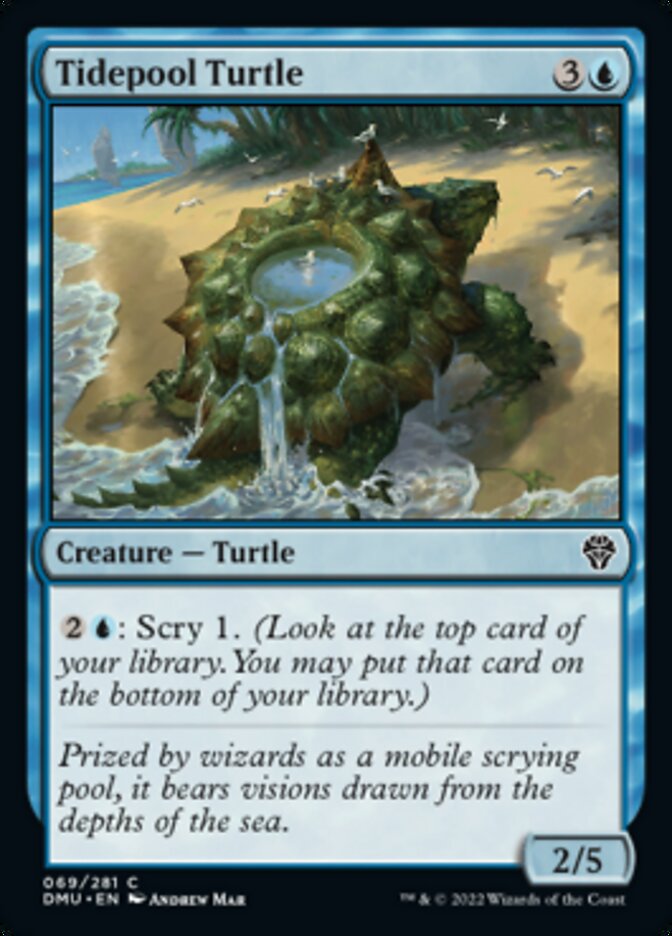Tidepool Turtle [Dominaria United] | Good Games Cannington