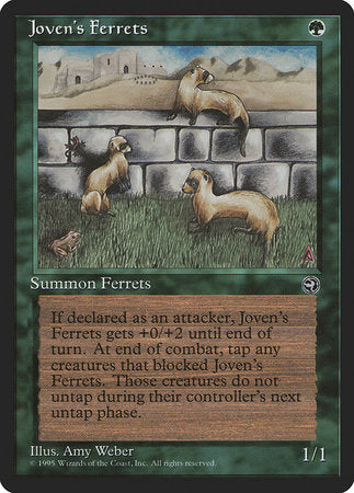 Joven's Ferrets [Homelands] | Good Games Cannington