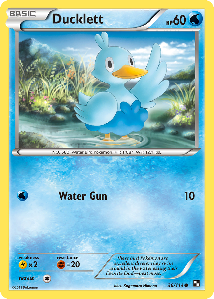 Ducklett (36/114) [Black & White: Base Set] | Good Games Cannington