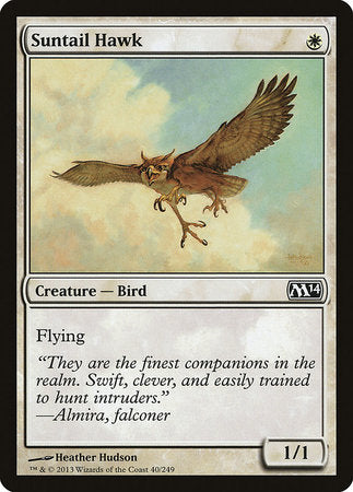 Suntail Hawk [Magic 2014] | Good Games Cannington