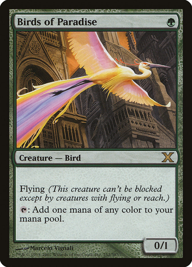 Birds of Paradise [Tenth Edition] | Good Games Cannington