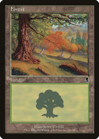 Forest (349) [Odyssey] | Good Games Cannington