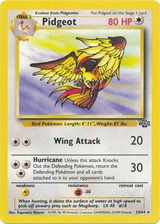 Pidgeot (24/64) [Jungle Unlimited] | Good Games Cannington