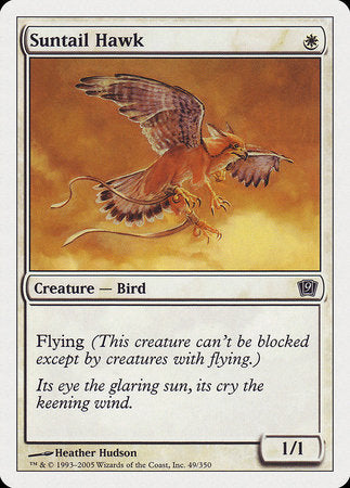 Suntail Hawk [Ninth Edition] | Good Games Cannington