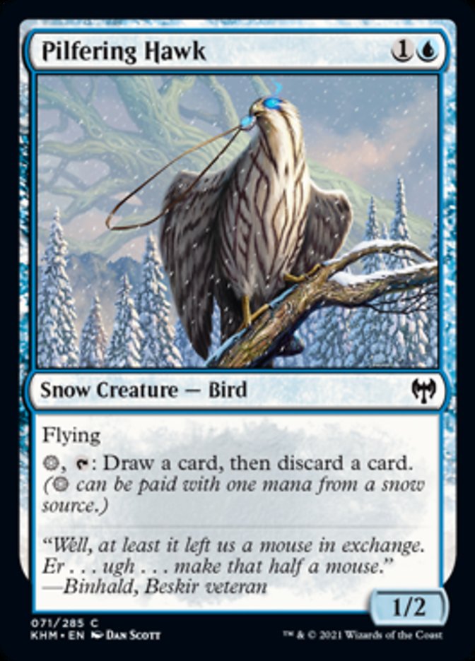 Pilfering Hawk [Kaldheim] | Good Games Cannington