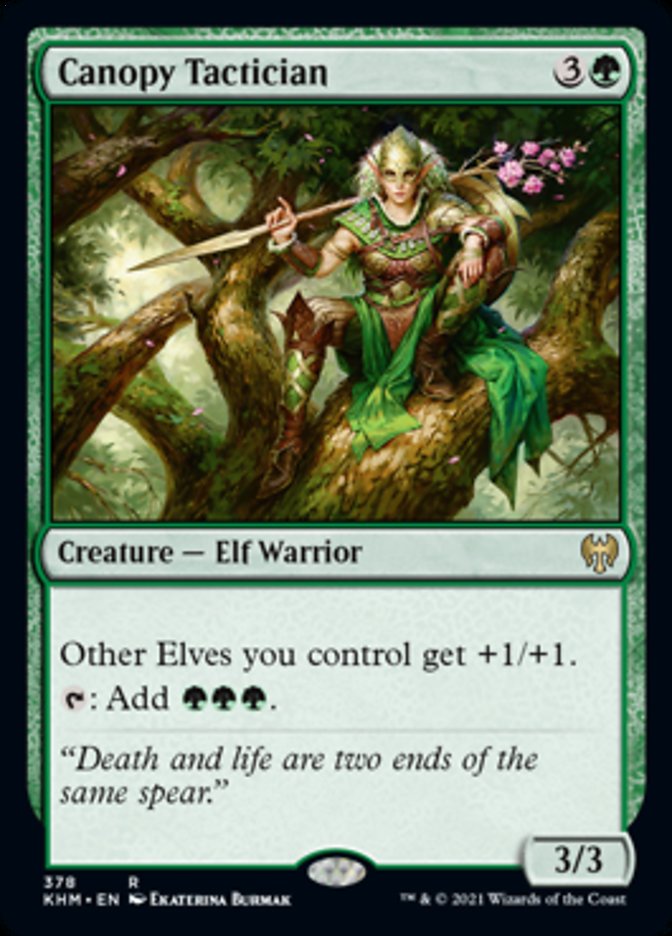 Canopy Tactician [Kaldheim] | Good Games Cannington