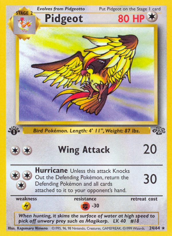 Pidgeot (24/64) [Jungle 1st Edition] | Good Games Cannington