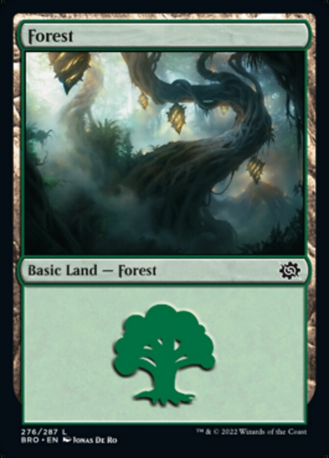 Forest (276) [The Brothers' War] | Good Games Cannington