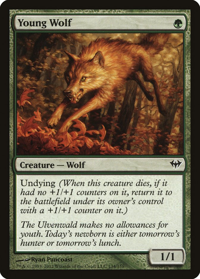 Young Wolf [Dark Ascension] | Good Games Cannington