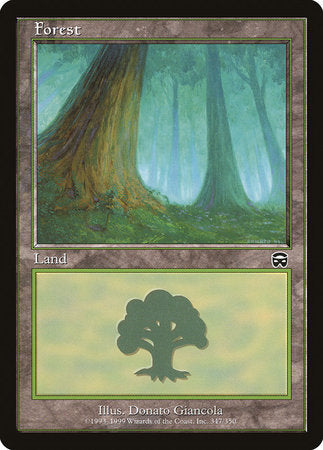 Forest (347) [Mercadian Masques] | Good Games Cannington