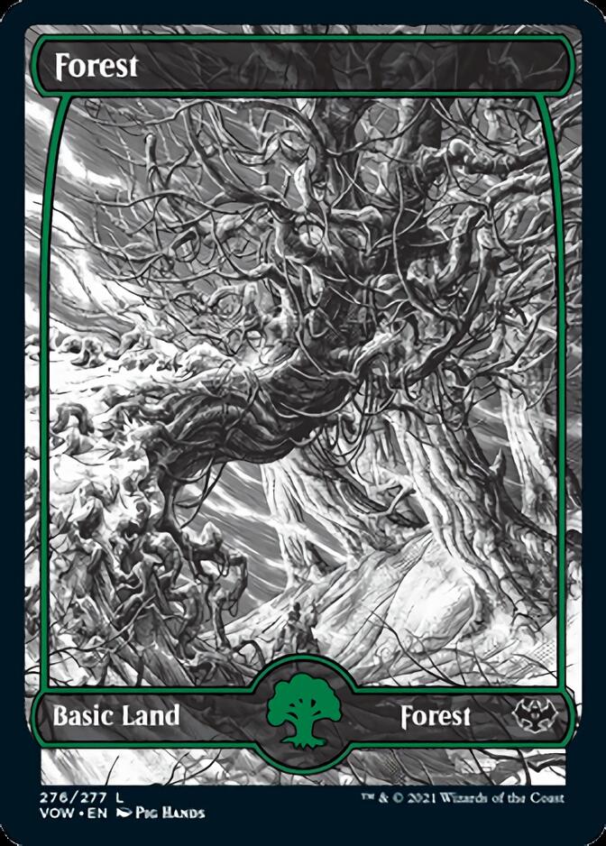 Forest (276) [Innistrad: Crimson Vow] | Good Games Cannington