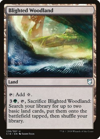 Blighted Woodland [Commander 2018] | Good Games Cannington