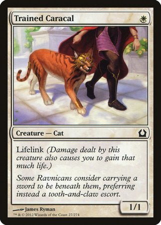 Trained Caracal [Return to Ravnica] | Good Games Cannington