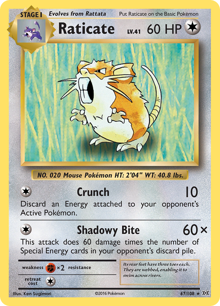Raticate (67/108) [XY: Evolutions] | Good Games Cannington