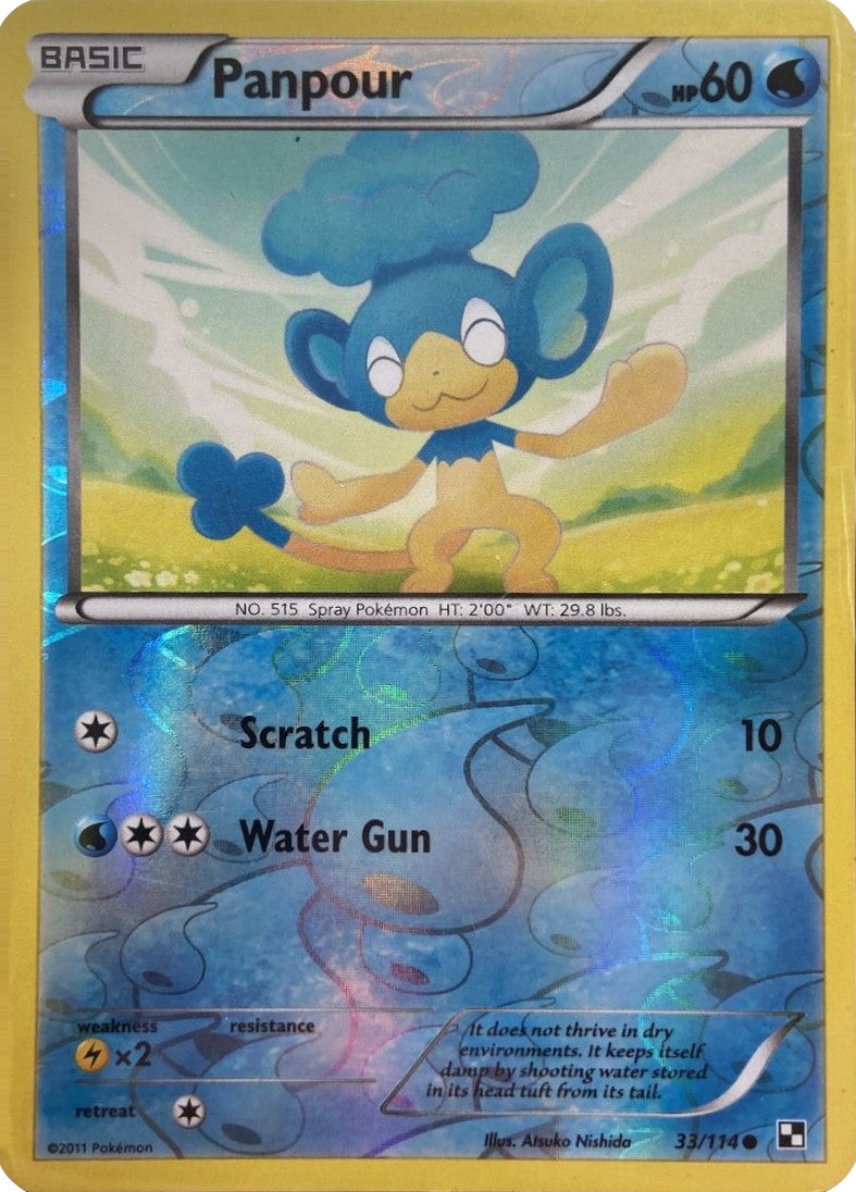 Panpour (33/114) (Energy Holo) [Black & White: Base Set] | Good Games Cannington