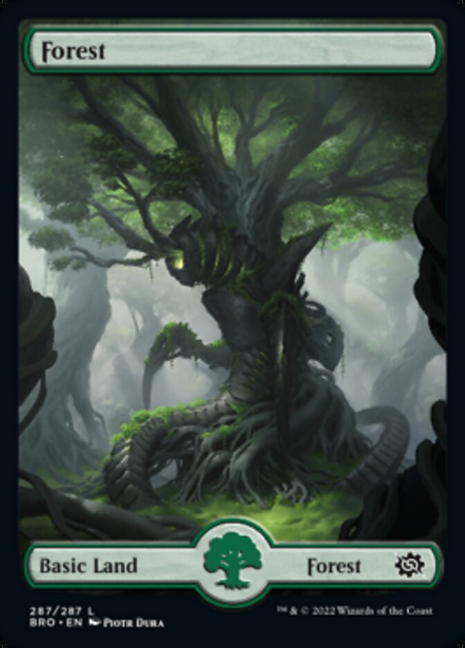 Forest (287) [The Brothers' War] | Good Games Cannington