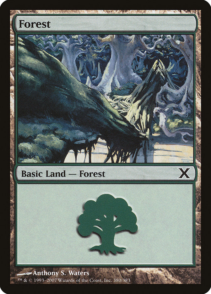 Forest (380) [Tenth Edition] | Good Games Cannington