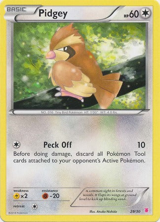 Pidgey (29/30) [XY: Trainer Kit 1 - Wigglytuff] | Good Games Cannington
