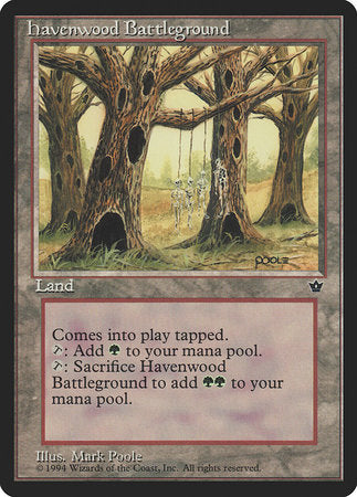 Havenwood Battleground [Fallen Empires] | Good Games Cannington