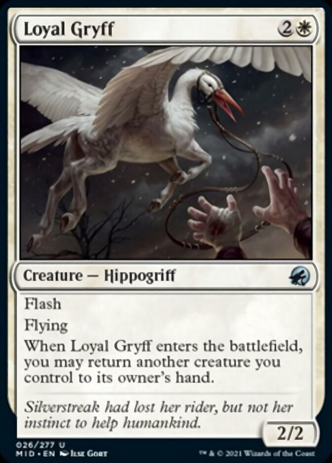 Loyal Gryff [Innistrad: Midnight Hunt] | Good Games Cannington