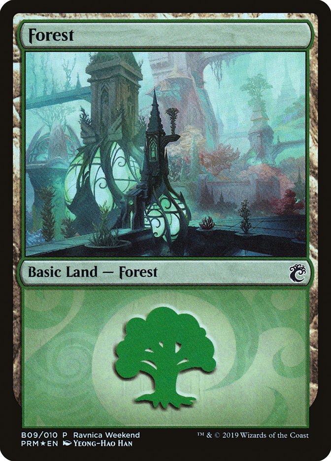 Forest (B09) [Ravnica Allegiance Guild Kit] | Good Games Cannington
