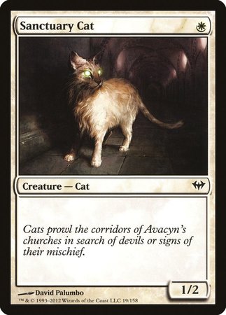 Sanctuary Cat [Dark Ascension] | Good Games Cannington