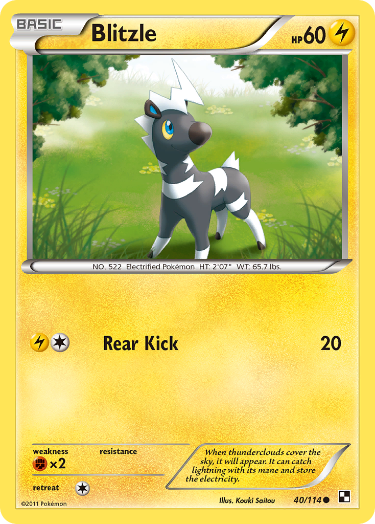 Blitzle (40/114) [Black & White: Base Set] | Good Games Cannington