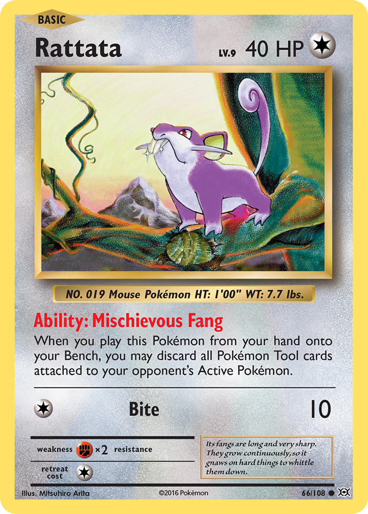 Rattata (66/108) [XY: Evolutions] | Good Games Cannington