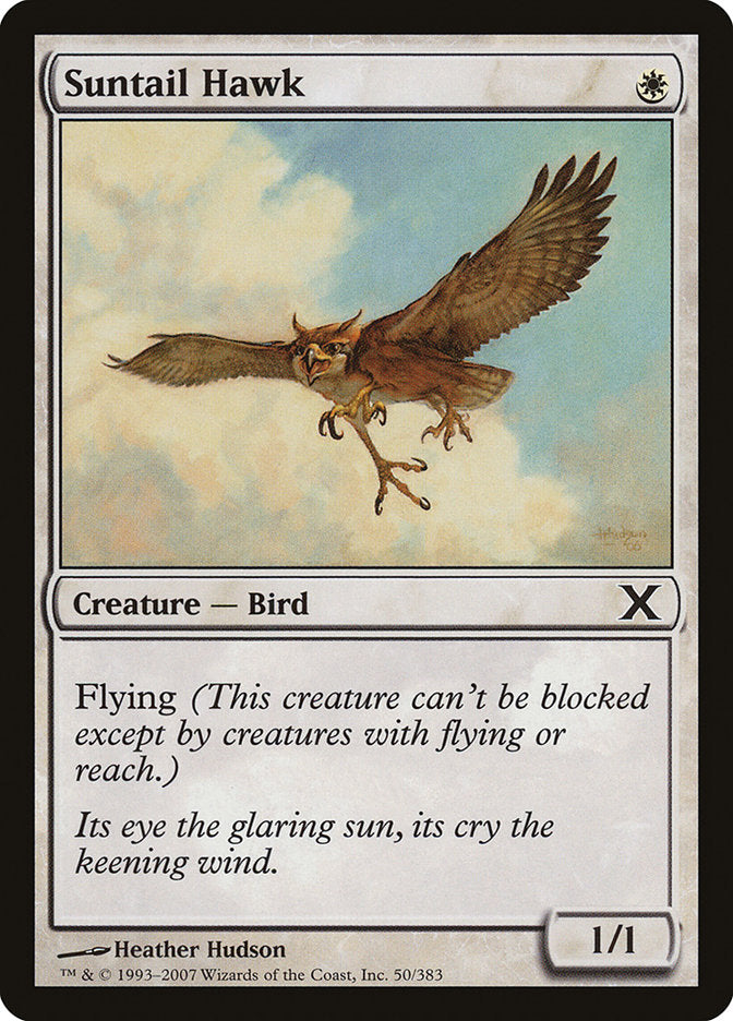 Suntail Hawk [Tenth Edition] | Good Games Cannington