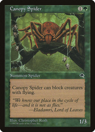 Canopy Spider [Tempest] | Good Games Cannington