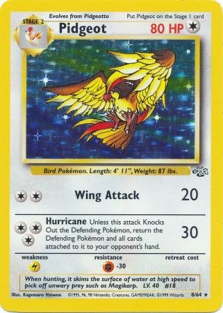 Pidgeot (8/64) [Jungle Unlimited] | Good Games Cannington