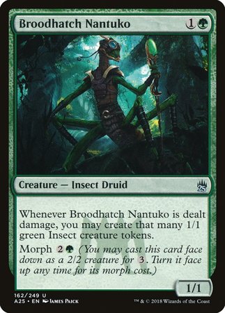 Broodhatch Nantuko [Masters 25] | Good Games Cannington