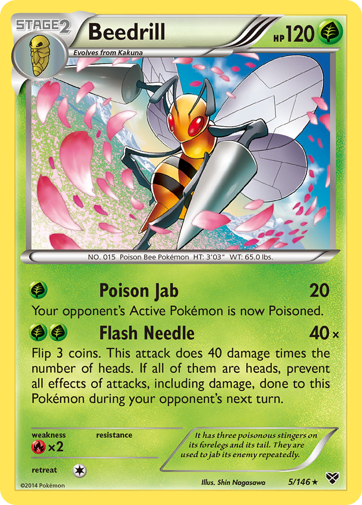 Beedrill (5/146) [XY: Base Set] | Good Games Cannington