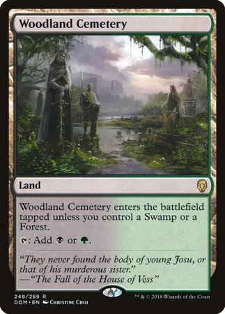 Woodland Cemetery [Dominaria] | Good Games Cannington