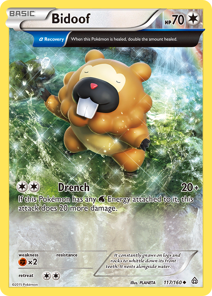 Bidoof (117/160) [XY: Primal Clash] | Good Games Cannington