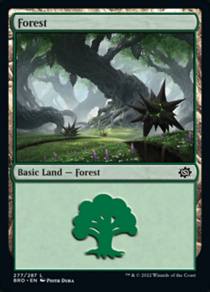 Forest (277) [The Brothers' War] | Good Games Cannington