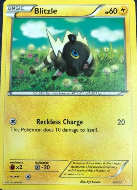 Blitzle (26/30) [XY: Trainer Kit 3 - Pikachu Libre] | Good Games Cannington