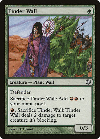 Tinder Wall [Coldsnap Theme Decks] | Good Games Cannington