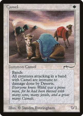 Camel [Arabian Nights] | Good Games Cannington