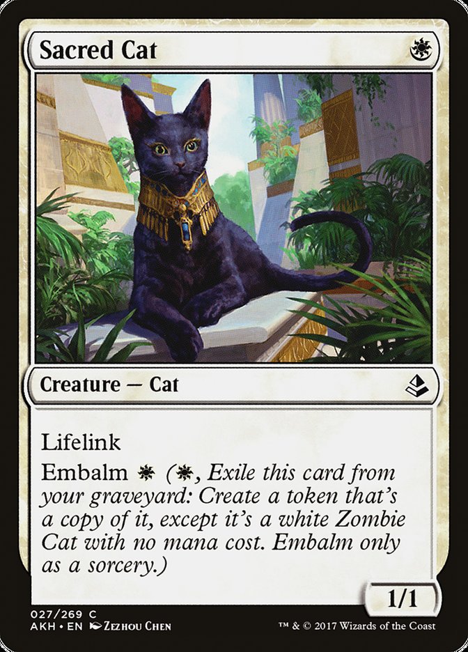 Sacred Cat [Amonkhet] | Good Games Cannington