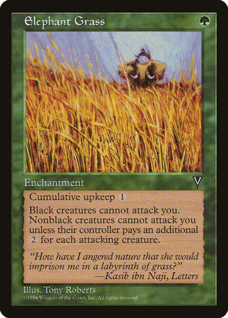 Elephant Grass [Visions] | Good Games Cannington